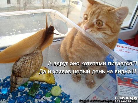 ���� 16: �������-�������! ��� ������ �������!