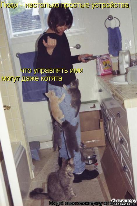 ���� 28: �������-�������! ��� ������ �������!