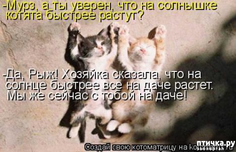 ���� 29: �������-�������! ��� ������ �������!