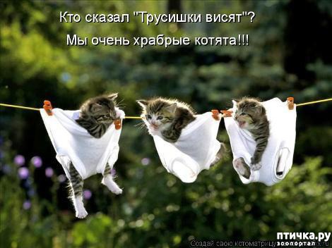 ���� 2: �������-�������! ��� ������ �������!