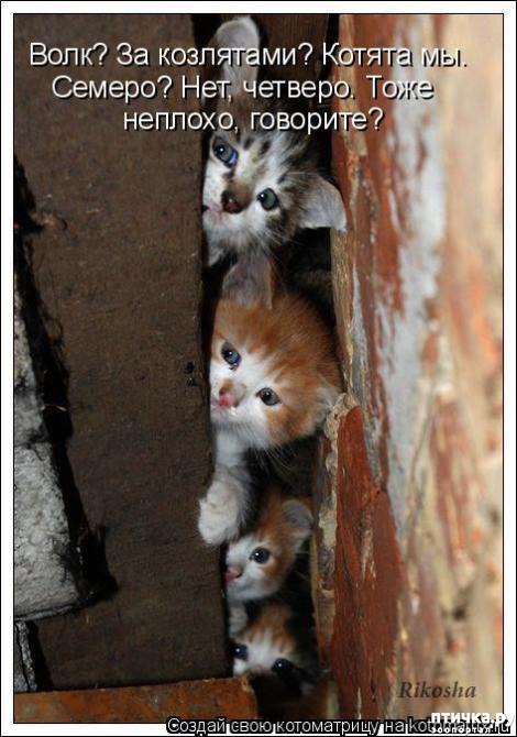 ���� 5: �������-�������! ��� ������ �������!