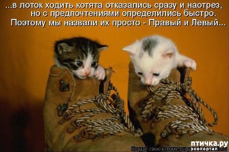 ���� 6: �������-�������! ��� ������ �������!