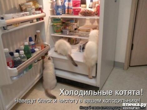 ���� 7: �������-�������! ��� ������ �������!