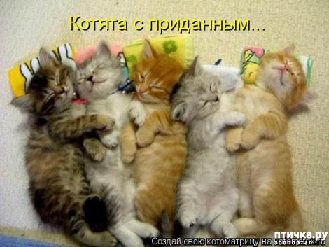 ���� 8: �������-�������! ��� ������ �������!