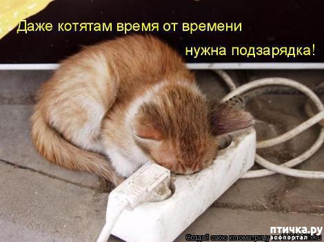 ���� 10: �������-�������! ��� ������ �������!