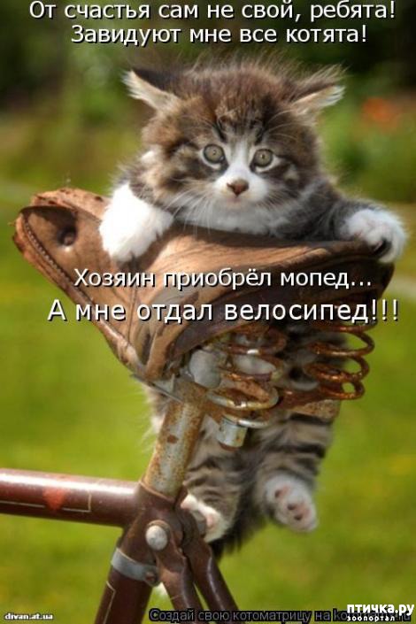 ���� 11: �������-�������! ��� ������ �������!