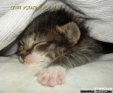 ���� 12: �������-�������! ��� ������ �������!