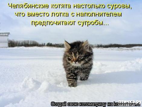 ���� 30: �������-�������! ��� ������ �������!