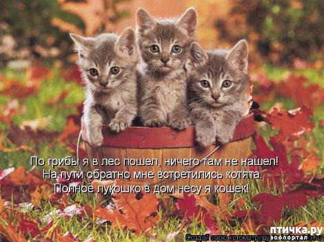 ���� 31: �������-�������! ��� ������ �������!