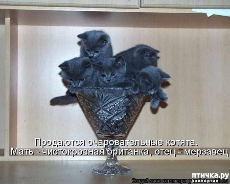 ���� 13: �������-�������! ��� ������ �������!