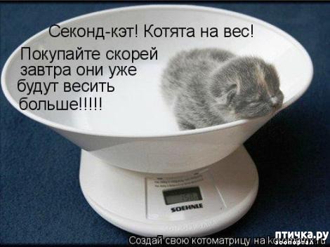 ���� 15: �������-�������! ��� ������ �������!