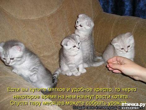 ���� 17: �������-�������! ��� ������ �������!