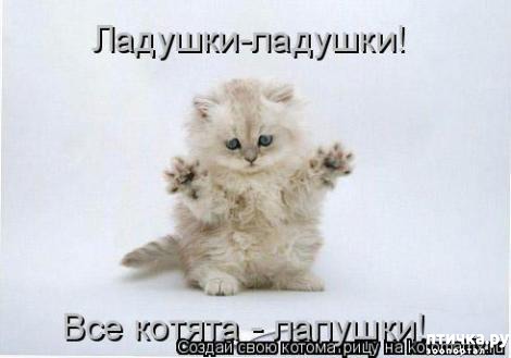 ���� 18: �������-�������! ��� ������ �������!