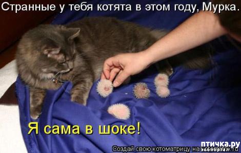 ���� 19: �������-�������! ��� ������ �������!