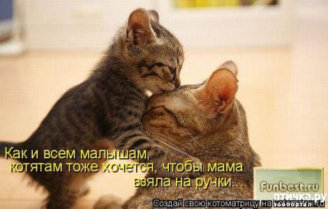 ���� 21: �������-�������! ��� ������ �������!