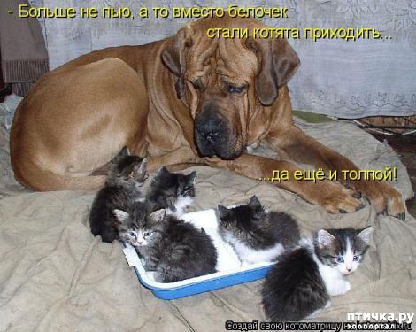 ���� 23: �������-�������! ��� ������ �������!