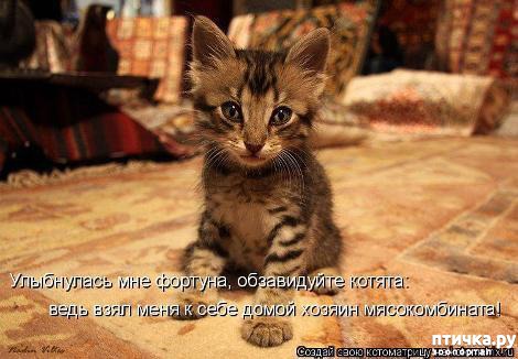 ���� 24: �������-�������! ��� ������ �������!