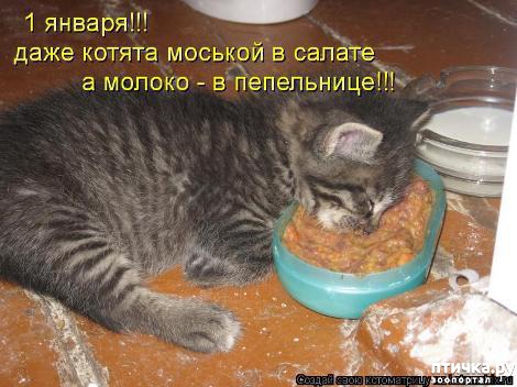 ���� 25: �������-�������! ��� ������ �������!