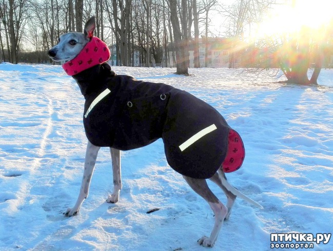 ���� 5: ��� ����� ����