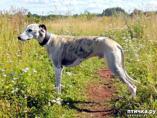 ���� 6: ��� ����� ����