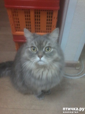 ����: ����.