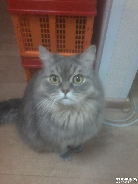 ���� 1: ����.