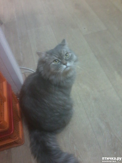 ���� 2: ����.