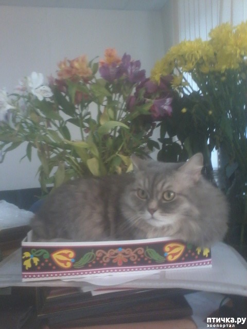 ���� 3: ����.