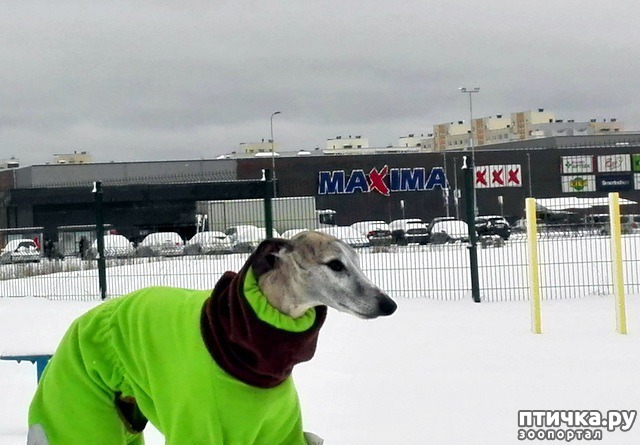 ���� 4: ��� ����� ����