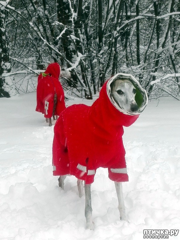 ���� 1: ��� ����� ����