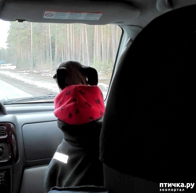 ���� 2: ��� ����� ����