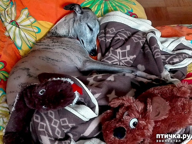 ���� 3: ��� ����� ����