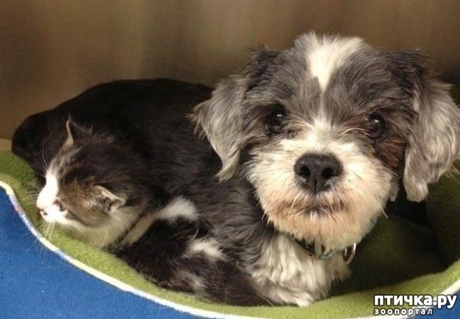 ���� 1: ������� �� �� ������ �� ��������� ������ �������