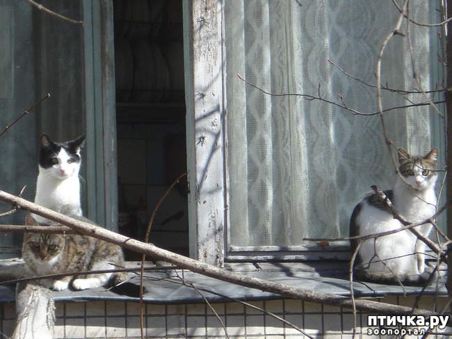 ���� 1: �������