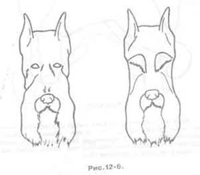  16: :   