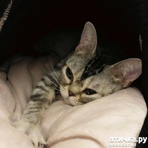 ����: ���������� ������)))!!!