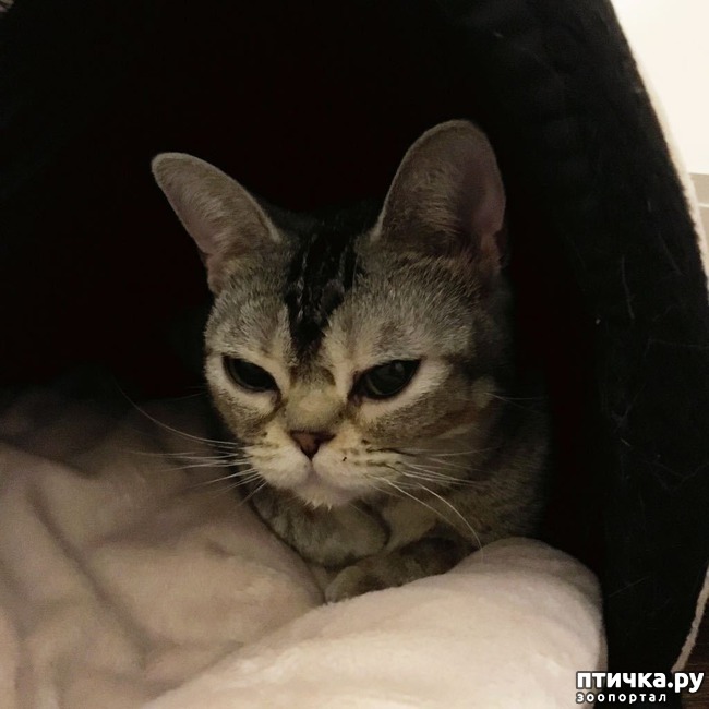 ���� 4: ���������� ������)))!!!