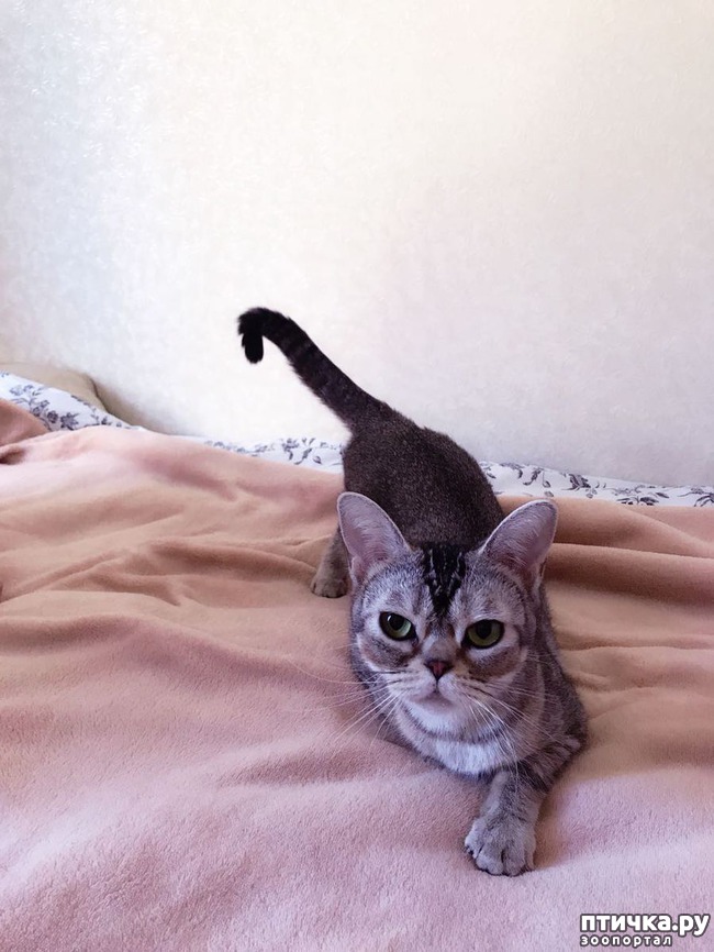 ���� 2: ���������� ������)))!!!