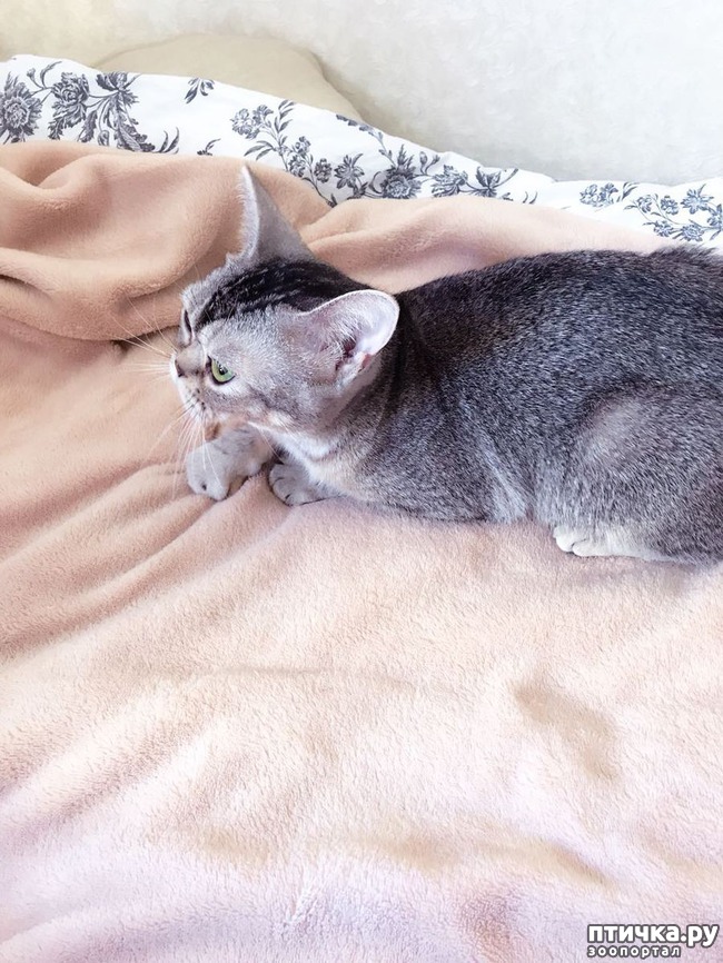 ���� 3: ���������� ������)))!!!