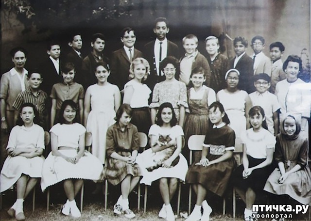 ���� 4: ��� - �������