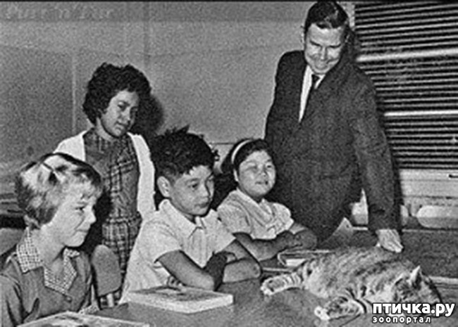 ���� 3: ��� - �������