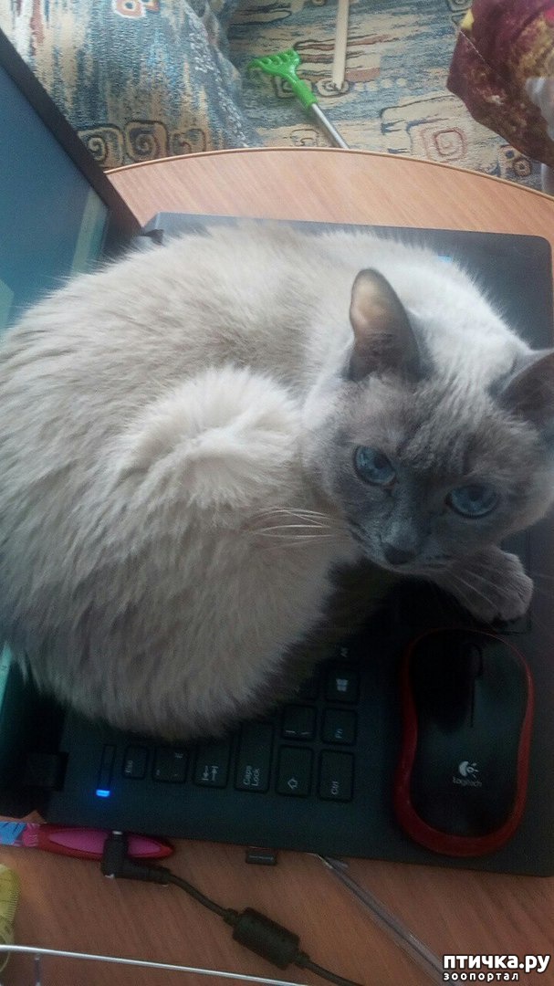 ���� 1: ����� ����� ����� �� ������.