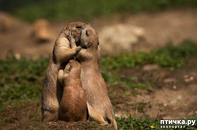 ���� 4: �������� ���������� �� ���� ��������))