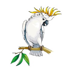 ����: ��� �����������