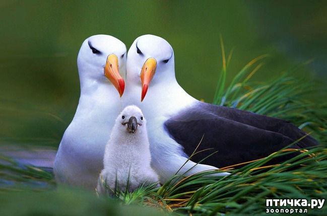 ���� 11: �������� ���������� �� ���� ��������))