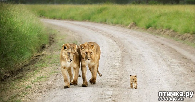 ���� 16: �������� ���������� �� ���� ��������))