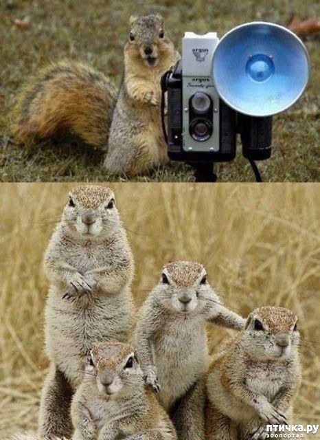 ���� 17: �������� ���������� �� ���� ��������))