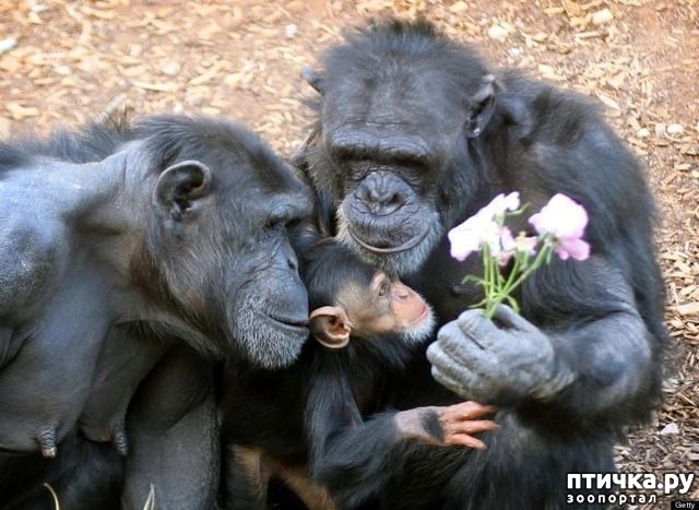 ���� 18: �������� ���������� �� ���� ��������))