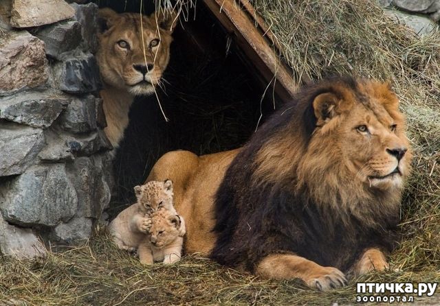 ���� 19: �������� ���������� �� ���� ��������))