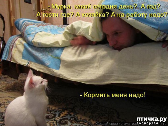 ���� 2: ��������� �����������: ��� �������� ����������!